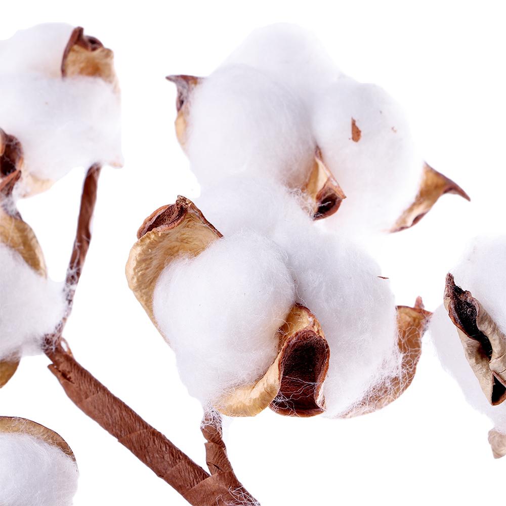 Home Decor Wedding Decoration Cotton Stem Floral Branch Dried Cotton Flower Artificial Plants