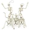 Halloween Skull Skeleton,Posable Skeleton,Human Shape Bones,Halloween Party Home Decorations,Haunted House Horror Props