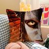 Movie A-Avatar Retro Pillow Covers Cartoon Sofa Decorative Home Double-Sided Printing Short Plush Cute Cushion Cover