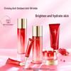 Hanhoo Pomegranate Black Tea Enzyme Skincare Set