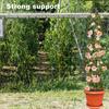 Outdoor Garden Metal Obelisk Climbing Plant Support Frame Trellis New
