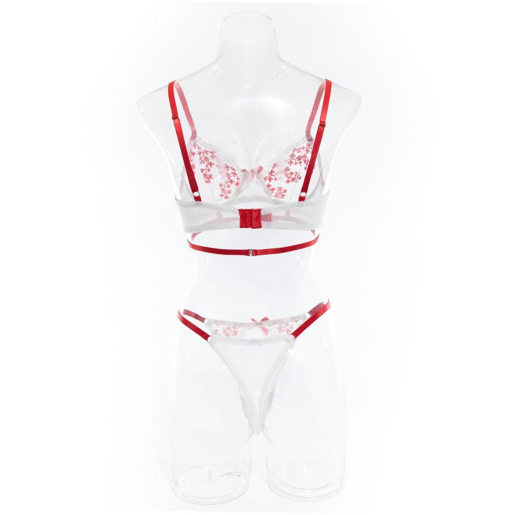 Сексуальный прозрачный вышитый комплект нижнего белья пуш-ап с цветными блоками