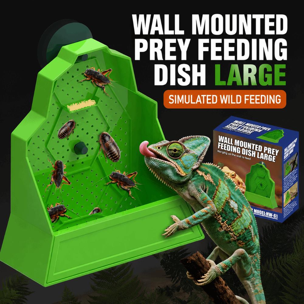 Plastic Live Insect Dish Suspendable Design Lizard Food Tray Predator Feeder Bearded Dragon Feed