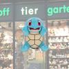 Authentic Plush Toys Charmander Squirtle Bulbasaur Soft Cute Stuffed Animals 23cm Wholesale