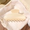 Hair Claw for Women, Semi-Transparent Pearlescent Tones Hair Clip, Large Size Back Head Hair Claw for Thick Long Hair
