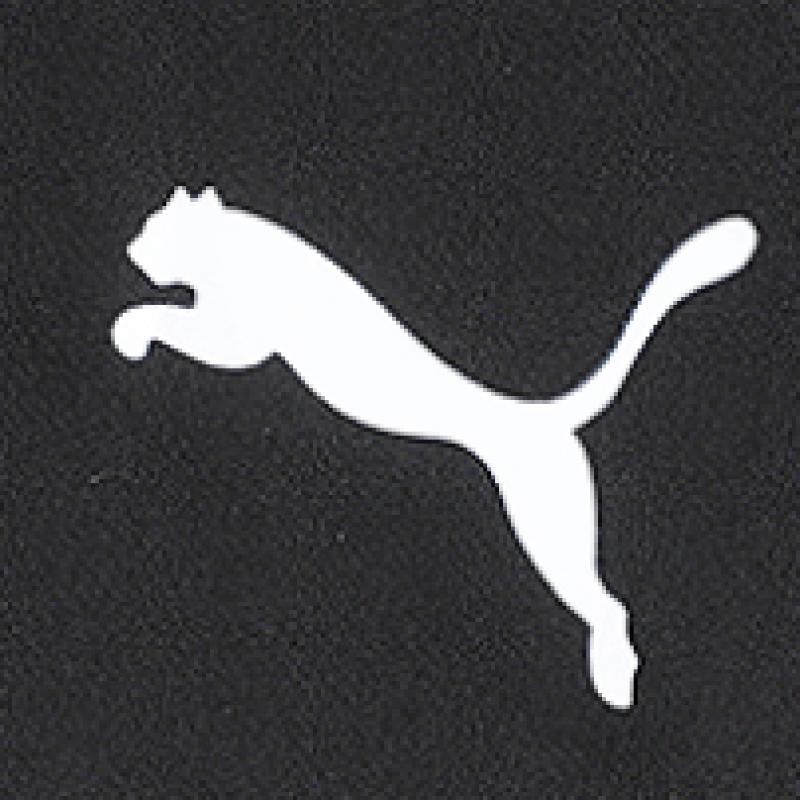 Puma Подъем Тренировочные Короткие