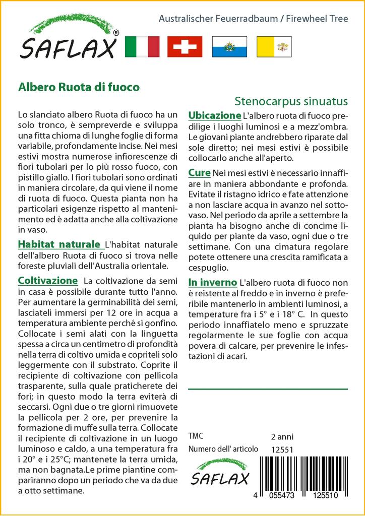 SAFLAX Дерево Firewheel Tree - 20 семян - С горшечным субстратом для лучшего выращивания - Stenocarpus sinuatus