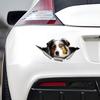 Наклейки на автомобиль для австралийской овчарки, скрытые в отверстиях, водонепроницаемые наклейки неправильной формы для украшения автомобиля