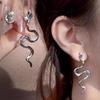 Серьги-змеи, Серьги-гвоздики для женщин, Холодные и универсальные, Дизайн со знаком зодиака Змея, Нишевые милые и крутые серьги.