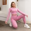 2 шт. спортивный костюм для йоги, тренажерный зал, женские леггинсы для бега, с длинным рукавом, одежда для езды на велосипеде, спортивный костюм для отдыха на открытом воздухе