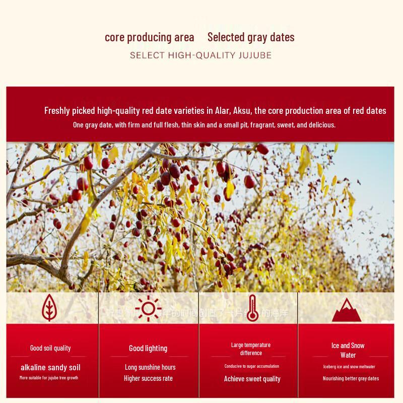 Haoxiangni Premium Xinjiang Pit-in Red Dates (998g)
