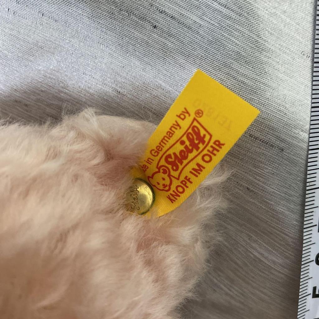 [USED] Not for sale. Teddy bear. Steiff. WACOAL prize.