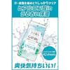 GATSBY Facial Paper Moist Type Moisturizing Mens Cleansing Sheets Set Bagless Specification 42 x 3 packs