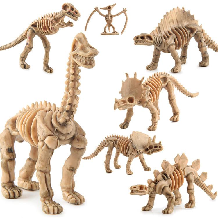 Explore The Fascinating World Of Dinosaurs With Our Durable Skeleton Model Toy Collection