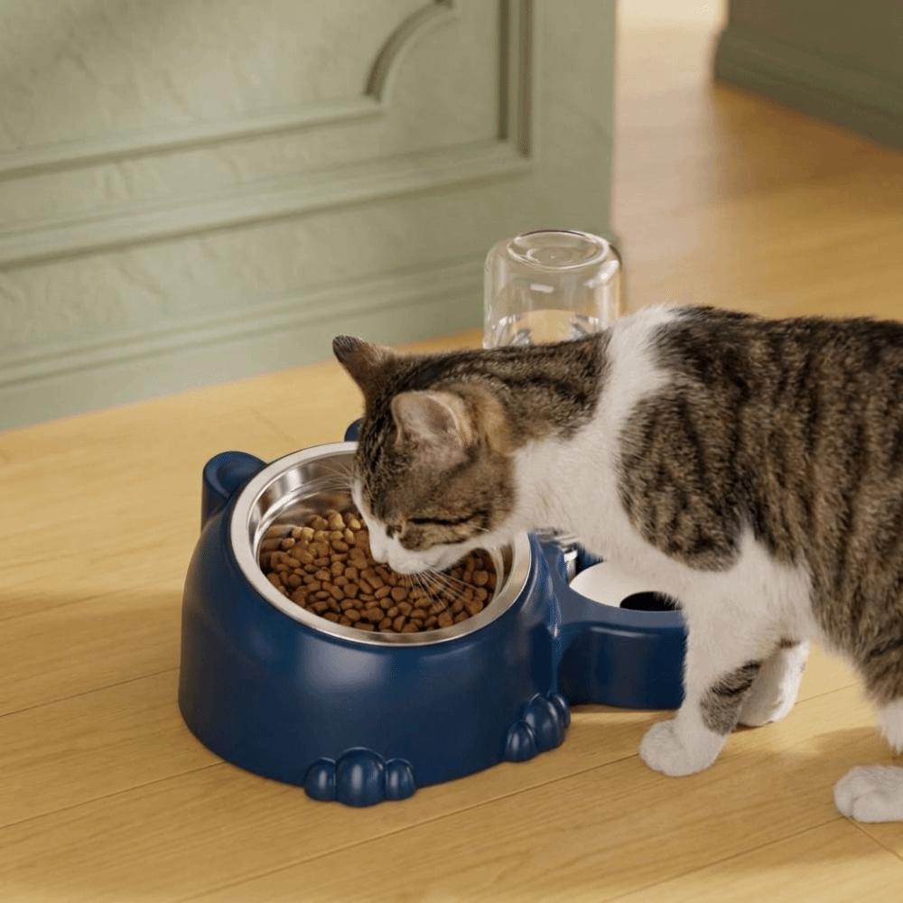 2 in 1 Cat Double Bowl Large Capacity Cat Water Dispenser Cat Feeder Bowl Daily Pet Feeding