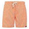 Regatta Mens Loras Stripe Swim Shorts