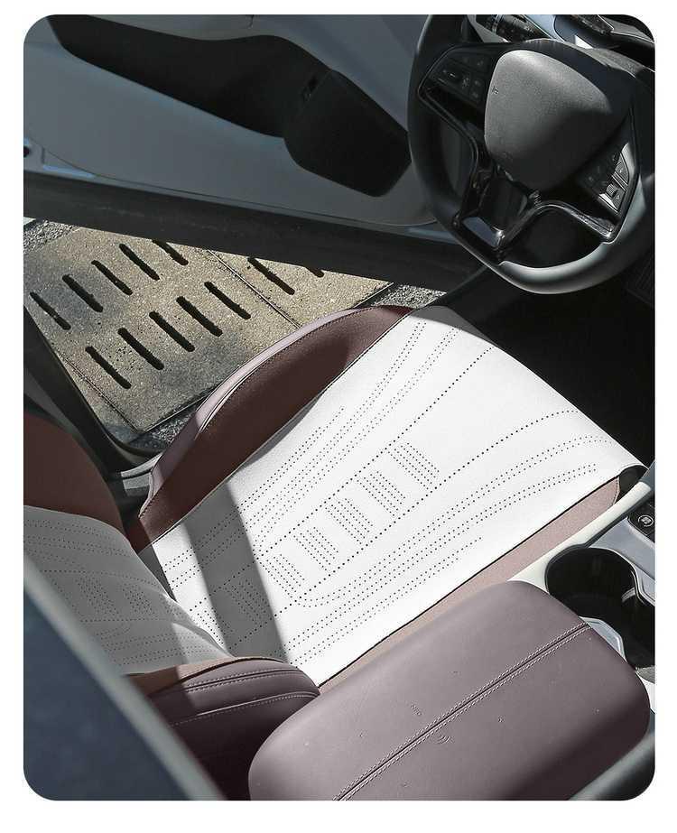 Всесезонная подушка и чехол на сиденье автомобиля BYD Song Plus DMI Glory & Song Pro EV