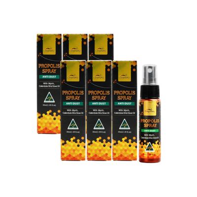Good Day Honey Anti Dust Propolis Spray 30 мл, набор из 6 штук GDAY ANTI DUST PROPOLIS SPRAY 30 мл, 6 штук