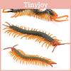 Small Fake Centipede Model With Static Display For Pranksters And Prank Gifts