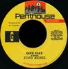 7-дюймовая пластинка TONY REBEL One Day NONE Penthouse Recor Ямайка Регги Ска Даб Б/У