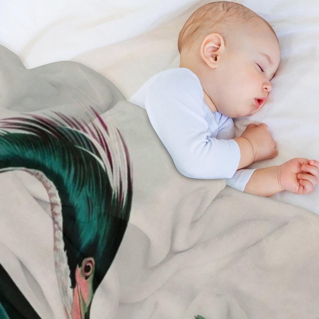 Louisiana Heron Birds of America Audubon Illustration Bird Lovers Gift Throw Blanket for sofa Cute Kid'S Blankets