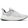 Li Ning Spark Модные Повседневные Спортивные Кроссовки Низкие Мужские Белый Серебристый AGLS061-2