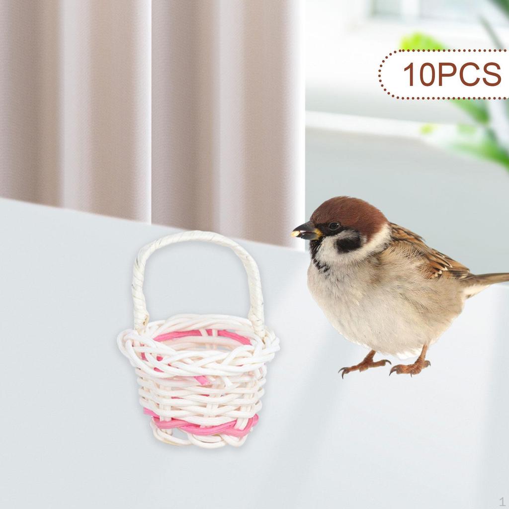 10 Pieces Bird Toy Chewing Hanging Feeder Foraging Basket for Small Animal Parakeet