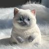 Новинка, розыгрыш, фигурка котенка, сжимающая игрушка, новинку, кляп, настольная игрушка, расслабляющая игрушка для снятия стресса, щипок, котенок