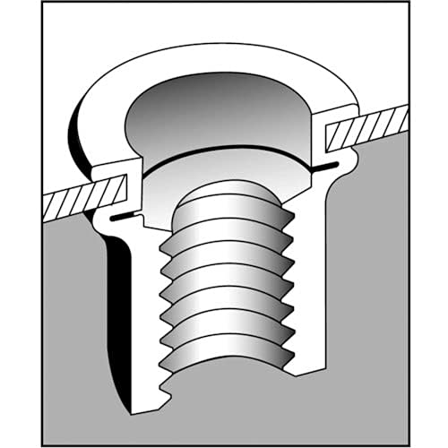 Lobtex Blind Nut "Nut" (Flat Head, Aluminum), Eco Pack, 3.2mm Thickness, M6 X 1.0 (Pack of 25)
