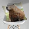 Cute Lindos Capibaras Various Sizes Square Pillow Case For Car Home Bedchamber Decor Birthday Gift