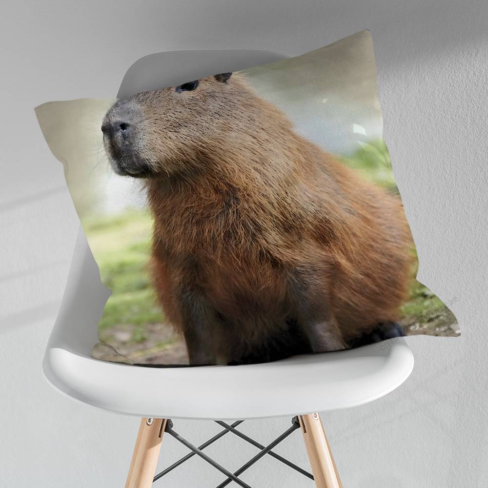 Cute Lindos Capibaras Various Sizes Square Pillow Case For Car Home Bedchamber Decor Birthday Gift