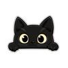 Scratch Covering PVC Decals Peek-a-Boo Funny Kitty Decals Car Window Decals  Laptop