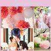 9pcs 8'' 10'' Colorful Tissue Paper Pom Poms Ball For Elegant Weddings And Festive Parties