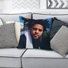 JJ Cole The FallOff Anime Celebrity Merchandise AllMatch Printed Pillow Case Sofa Car Office Room Decoration Protector