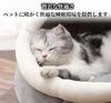 DICOCO Cat Dome Pet Cat Pet Heat Cold Small Pet Cat Cat Suitable for Small Pet Dinosaur Shape L House, Shape, Winter, Cute, Bed, Semi-Enclosed Type,