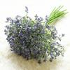 1 Bundles Artificial Plants Baby's Breath Plastic Flower Plants Baby's Breath Artificial Flowers Gypsophila for Home Hotel Decor Wedding Bouquet
