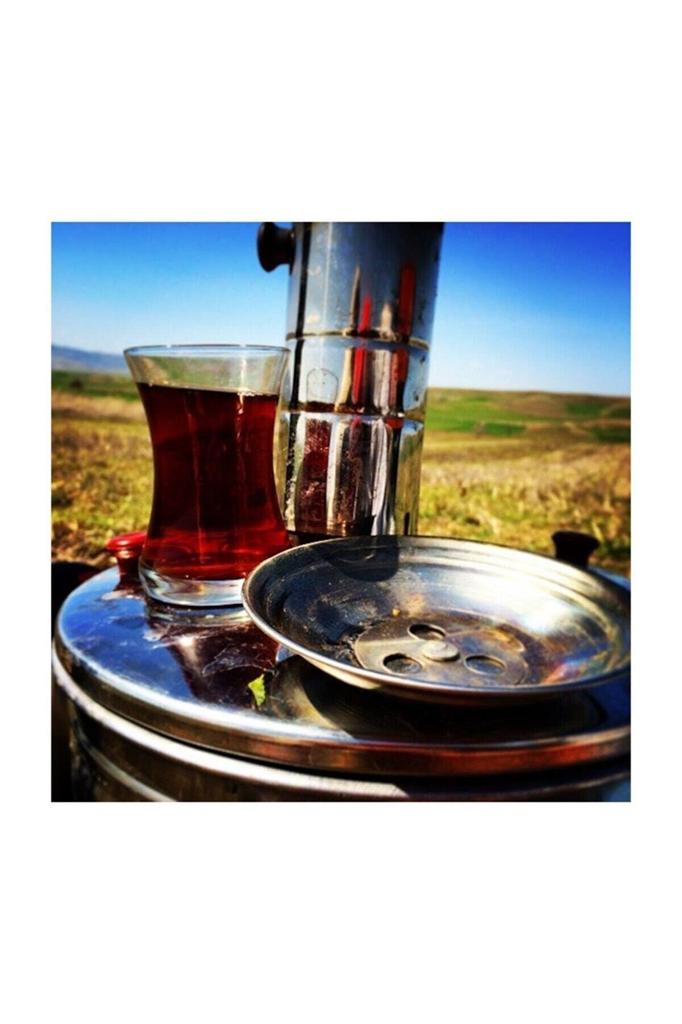 Stainless Steel Samovar Wood Burning Coal Stove Camping Kettle Tea Kettle & BBQ Multi Cooking