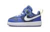 Кроссовки Court Borough Low 2 SE Lil Fruits TD DM1471-400