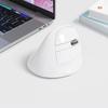 DELUX Ergonomic Wireless Small Vertical 4000 Dual for Carpal and Hand for and Macs Mouse, Quiet, Hand, Mouse, DPI, 2.4G/Bluetooth 5.2 Mode,