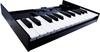 Roland Keyboard Unit K-25M