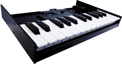 Клавиатурный блок Roland K-25M
