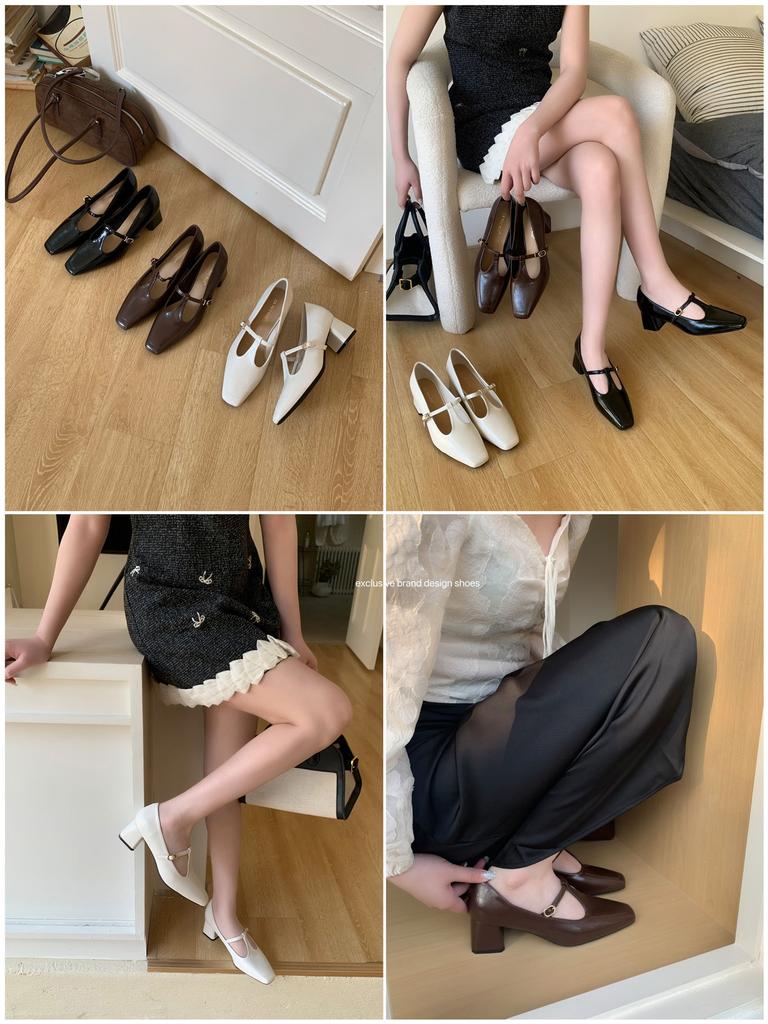 French Gentle Single Shoes Female 2025 Spring New Mary Jane Thick Heel Evening Shoes with Skirt Fairy Style Grandma Shoes Tide