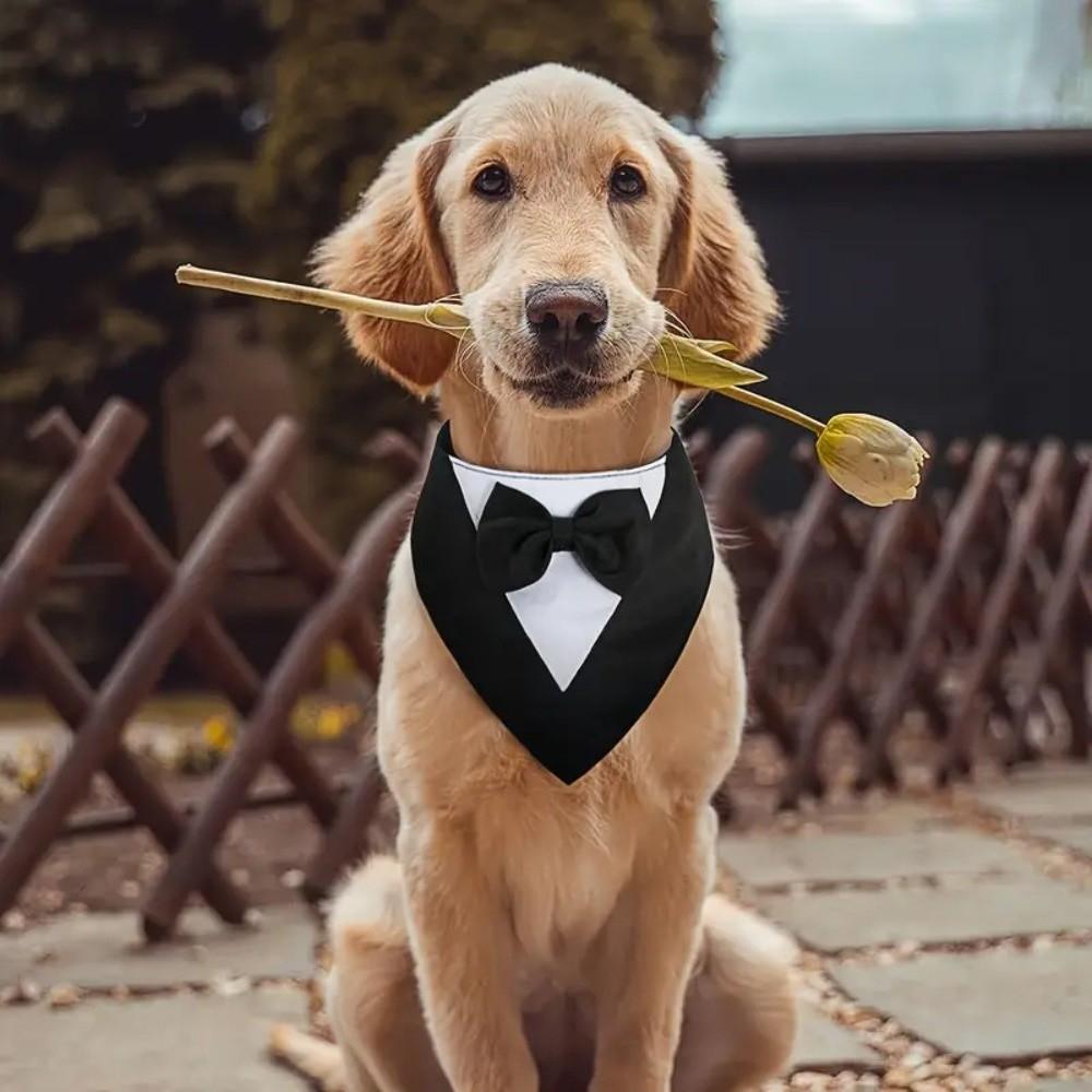 Pet Decoration Saliva Towel Dog Bow Tie Business Suit Fashion Pet Bandana Adjustable Elegant Cat Triangle Scarf Pet Parties