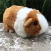 18 см Реалистичные милые плюшевые игрушки-мыши Симуляция животного Морская свинка Кукла Мягкая подушка для дивана Украшение комнаты Детский рождественский подарок