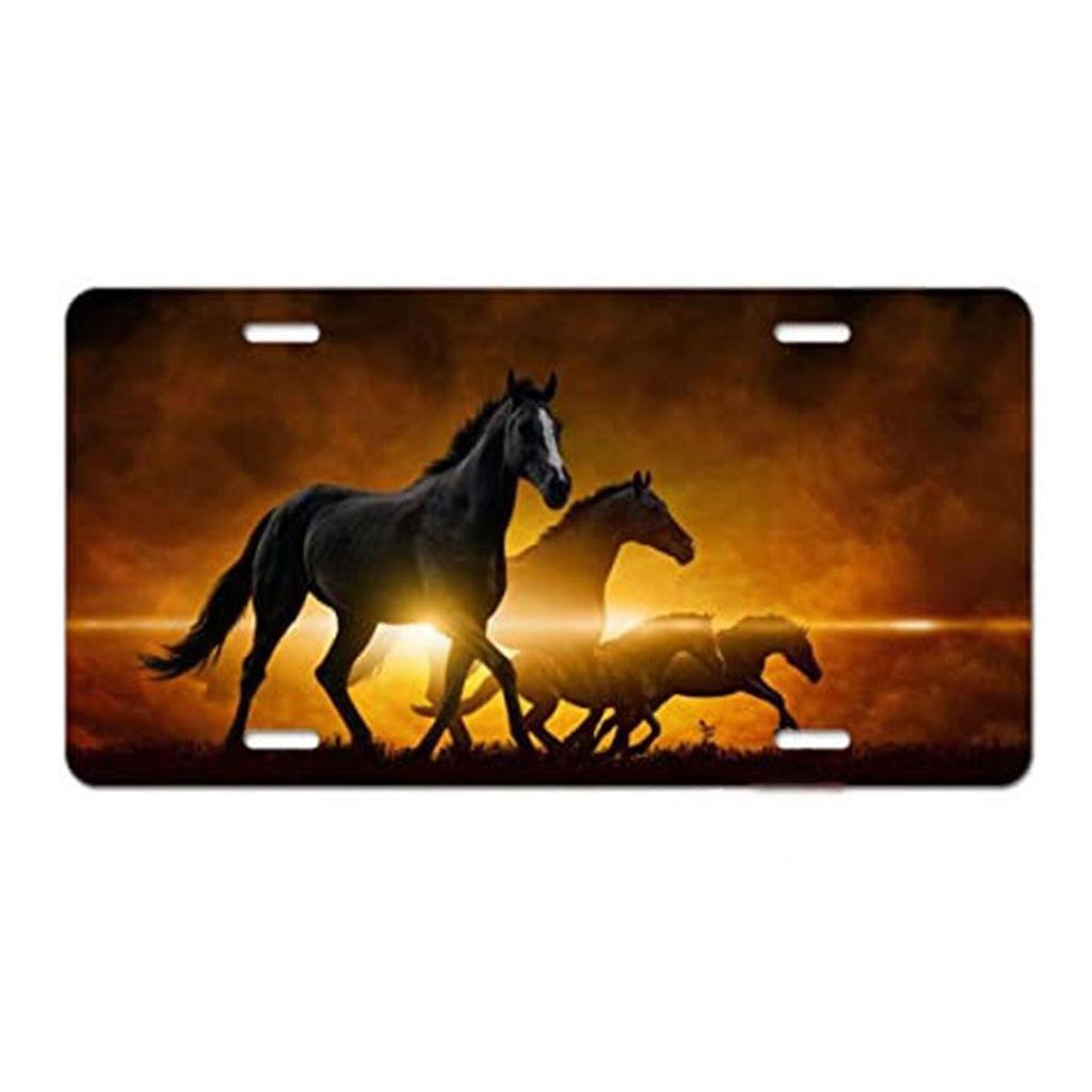 Sublimation Printed US Standard License Plate Metal Sign, 12x6 Inches, Hot-Selling Design