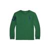 Polo Ss24 Logo Embroidered Round Neck Knit Long Sleeve T-Shirt Kids Tops Green CWPOTSHY8020931-300