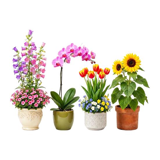 Window Decals Spring Garden Design Double-Sided Visibility Electrostatic Adsorption Glass Sticker Home Shop Window Decoration