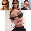 Trendy Women Cat Eye Design Sunglasses With Retro Small Eyeglass And Uv Protection