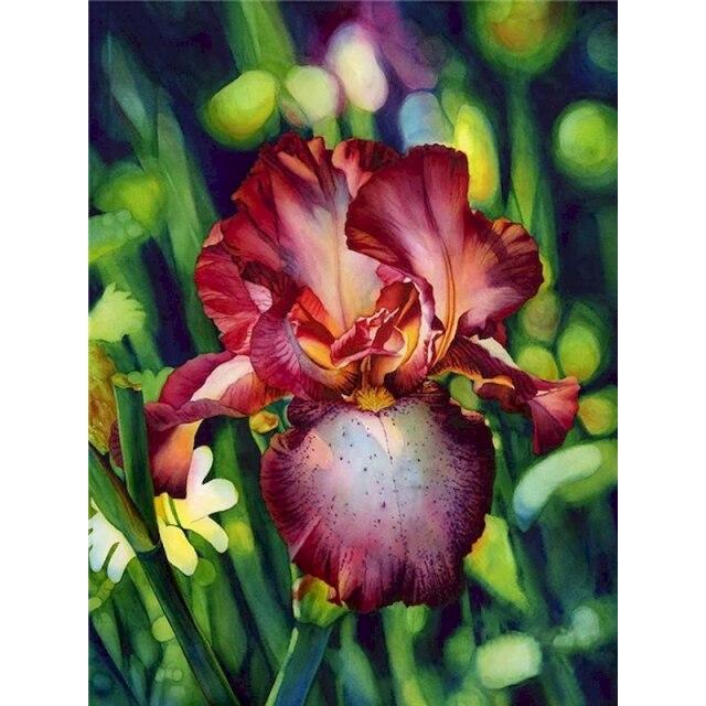 40x50 см тигр картина по номерам для взрослых DIY наборы ручная роспись животное на холсте картина маслом рисунок раскраска по номеру с рамкой