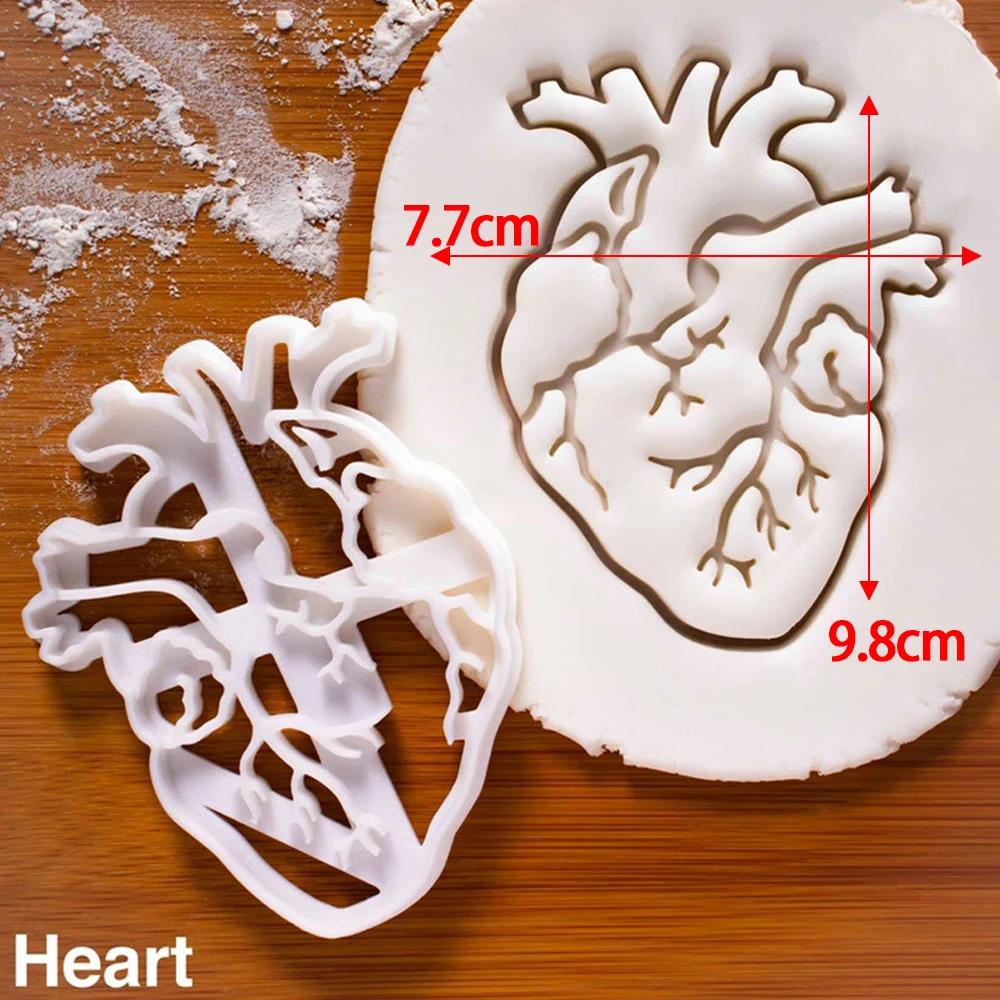 Human Organs Cookie Cutter Heart Brain Shape Fondant Icing Biscuit Mold Party Cake Decoating Baking Tools Kitchen Accessories